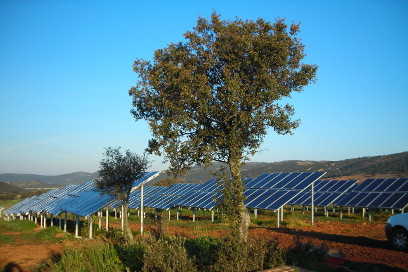 Almodovardelcampo-2007.jpg