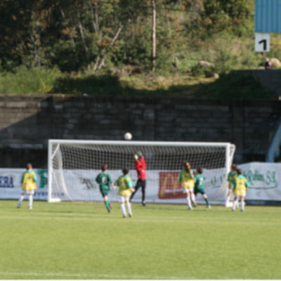 RSC_4.jpg