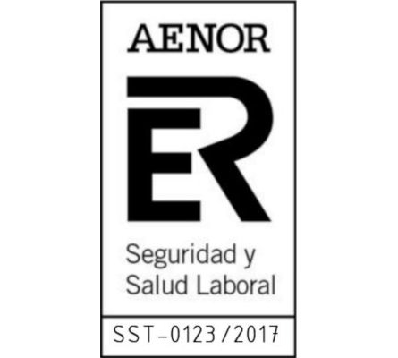 seguridad-y-salud.jpg